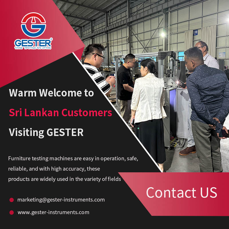 Cálida bienvenida a los clientes de Sri Lanka que visitan GESTER